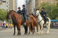 Houston police on horseback on the street